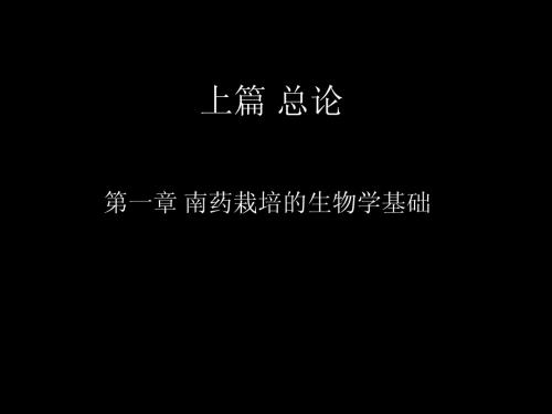 药用植物栽培