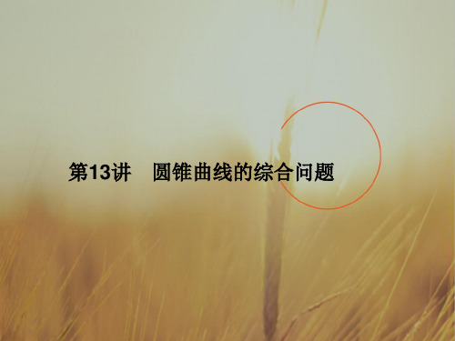 名师导学2018届高三数学文二轮复习课件：专题5第13讲圆锥曲线的综合问题 精品