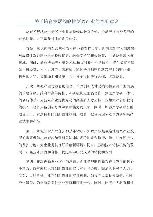 关于培育发展战略性新兴产业的意见建议