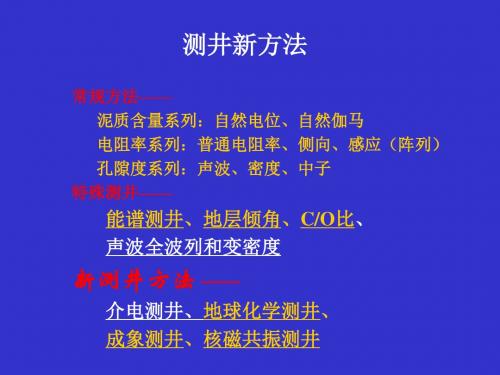 部分测井新技术-精选文档