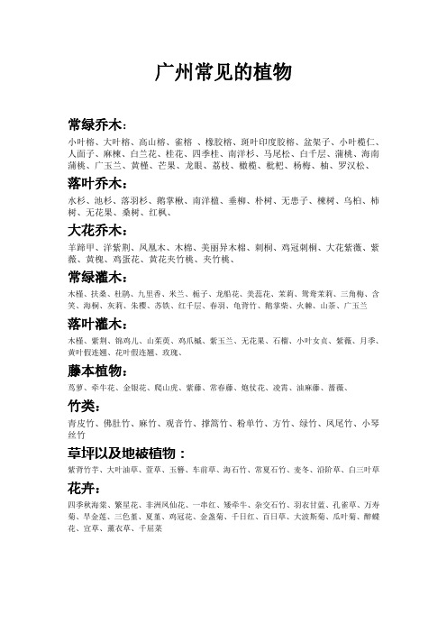 广州常见植物