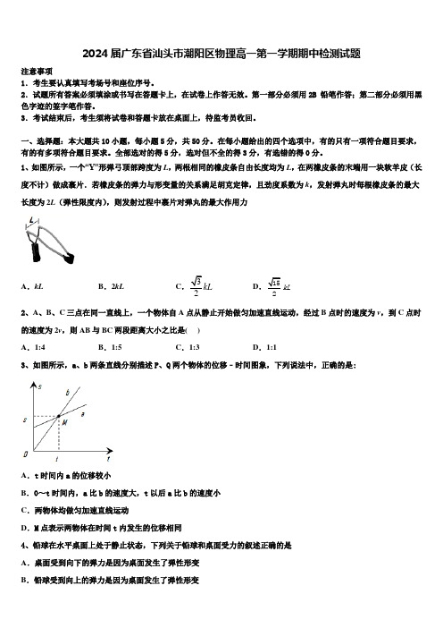 2024届广东省汕头市潮阳区物理高一第一学期期中检测试题含解析