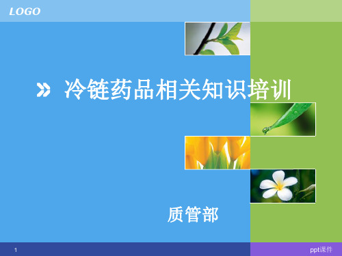 冷链药品相关知识培训  ppt课件