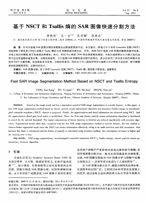 基于NSCT和Tsallis熵的SAR图像快速分割方法