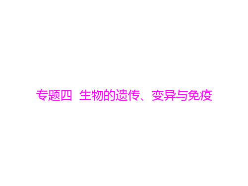 初中生物  中考九年级生物复习专题(6份打包) 人教版5精品课件