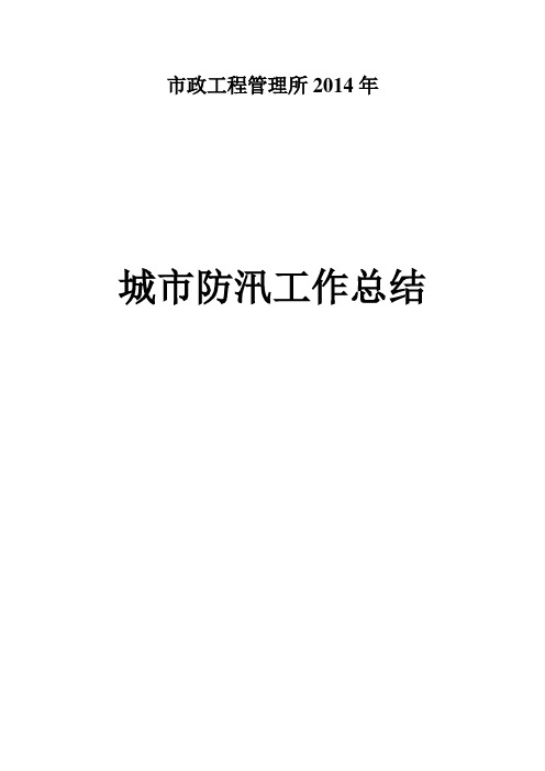 2014市政防汛总结