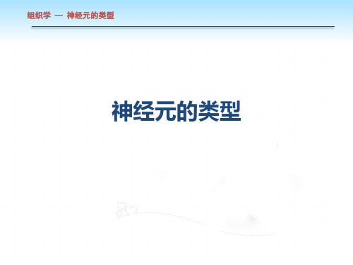 神经元的类型.