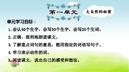 部编版二年级语文上册期末复习课件