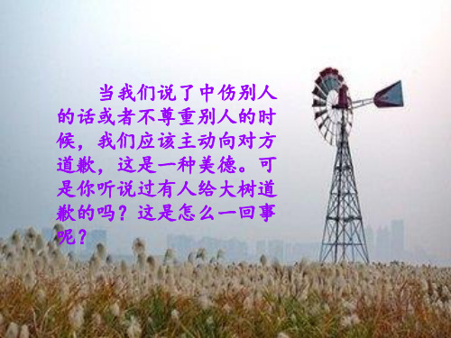 向大树道歉课件
