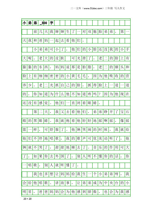 三年级写人作文：小弟弟_300字
