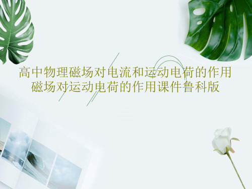 高中物理磁场对电流和运动电荷的作用磁场对运动电荷的作用课件鲁科版PPT文档28页