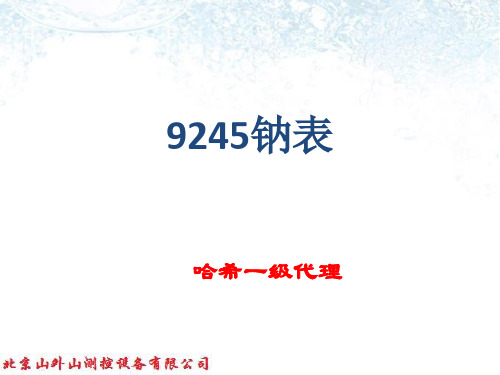 9245钠表