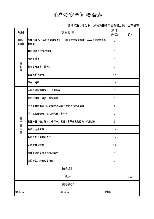 资金检查表-
