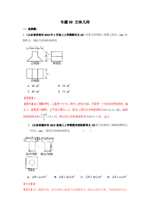 2013高考数学试题分类汇编：专题09 立体几何(解析版b)