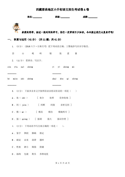 西藏那曲地区小升初语文招生考试卷A卷