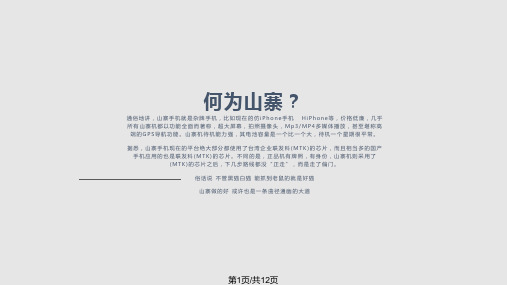 山寨品牌存在的原因分析PPT课件