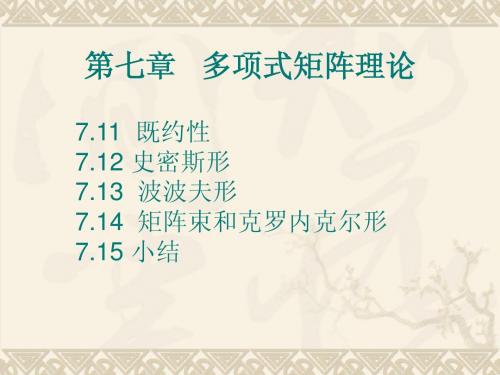 多项式矩阵理论