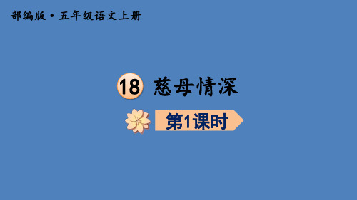 部编版语文五年级上册  慈母情深  课件