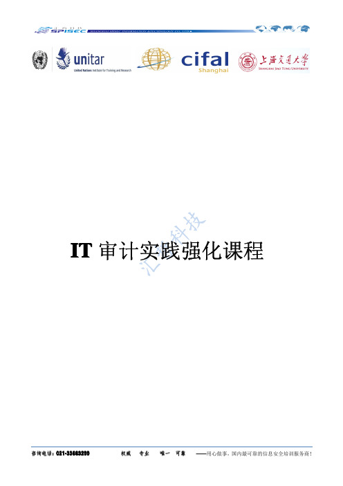 IT审计可以手把手教你做项目