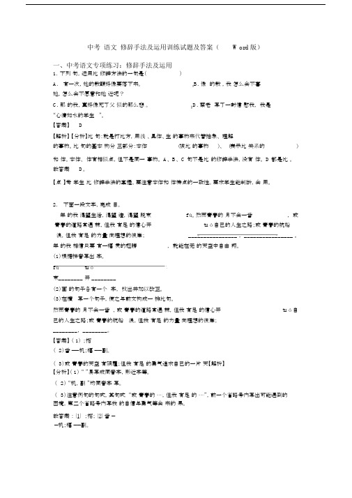 中考语文修辞手法及运用训练试题及答案(Word版).docx