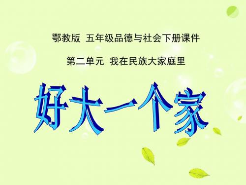 鄂教版五年级品德与社会下册 4好大一个家PPT
