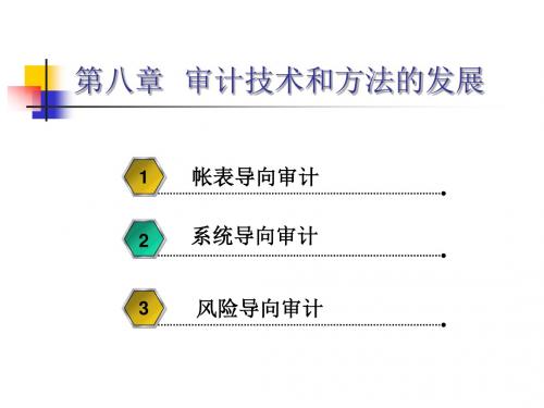 《审计学》国家级精品课程课件PPT 08审计技术和方法的发展