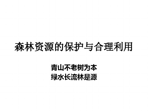 森林资源的保护与合理利用