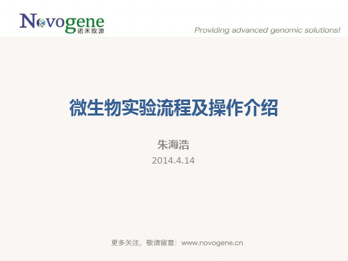 微生物实验流程及操作介绍