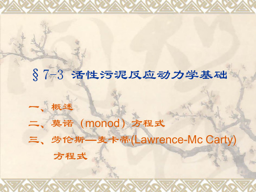 活性污泥反应动力学基础