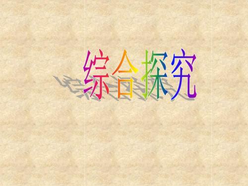 中考语文专题复习：综合探究课件