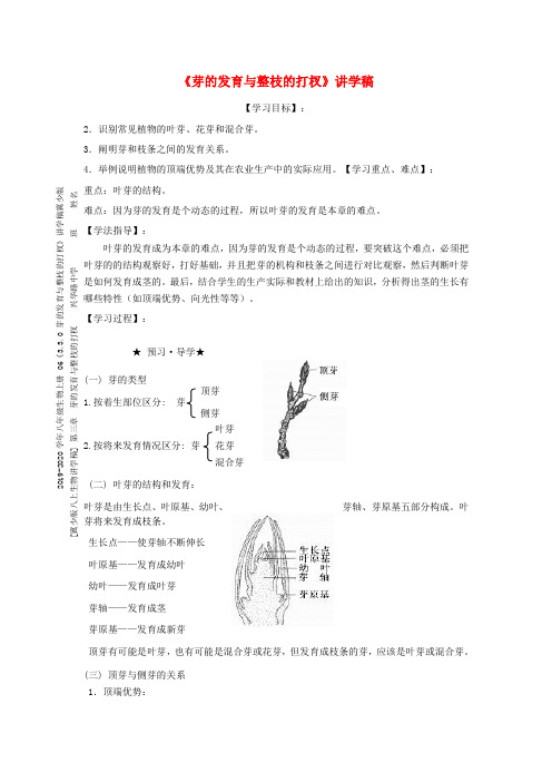 2019-2020学年八年级生物上册 06《3.3.0 芽的发育与整枝的打杈》讲学稿冀少版.doc