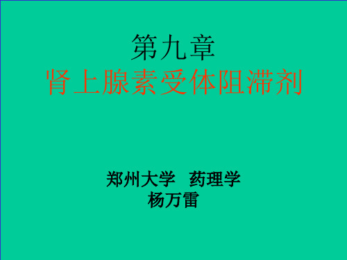 肾上腺素受体阻断药 ppt课件