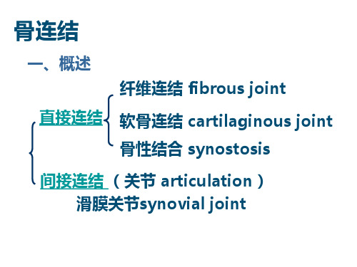 骨连接PPT课件