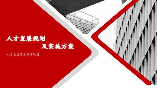 人才发展规划及项目方案人才发展体系搭建 ppt课件