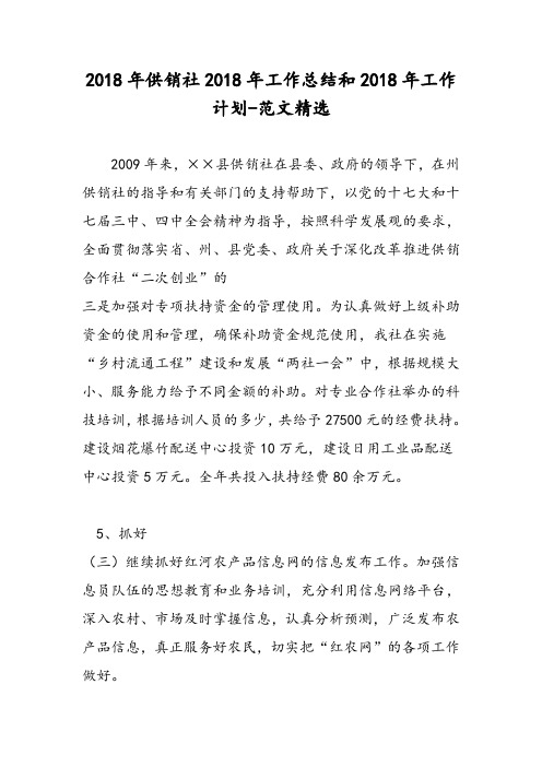 2018年供销社2018年工作总结和2018年工作计划-范文精选