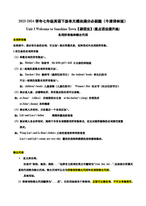 Unit 3【刷语法】名词所有格和物主代词(重点语法提升练)-2023-2024学年七年)