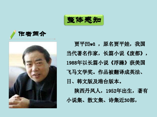 《丑石》 - 教学课件