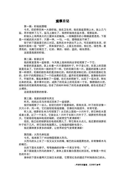 观察日记_六年级日记_1