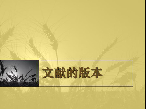 文献的版本08