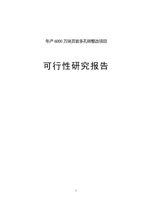 年产6000万块页岩多孔砖整改项目申请立项可研报告