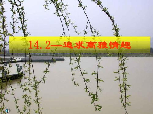 追求高雅情趣ppt优秀课件1