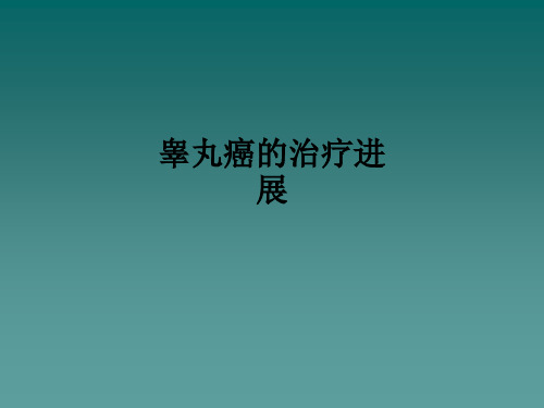 睾丸癌的治疗进展ppt课件