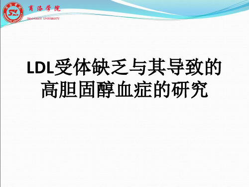 LDL与高胆固醇血症精品PPT课件