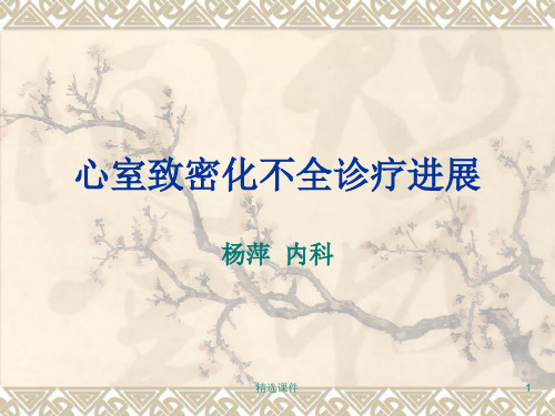 《心肌致密化不全》PPT课件
