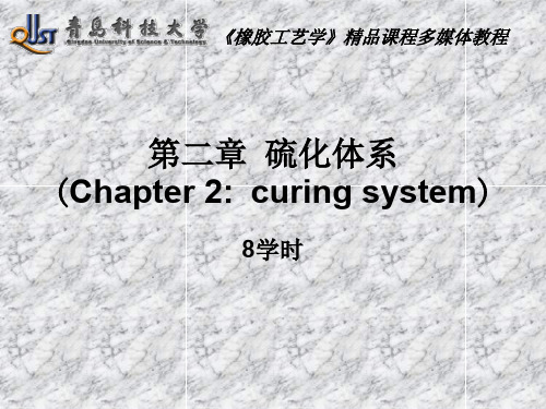 第二章硫化体系