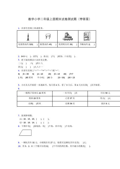 数学小学二年级上册期末试卷测试题(带答案)