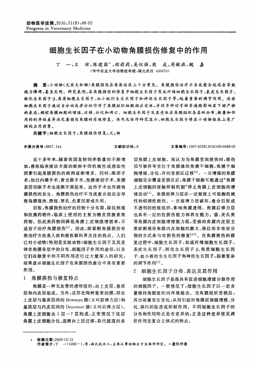 细胞生长因子在小动物角膜损伤修复中的作用
