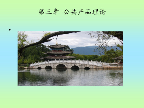 第三章 公共经济学.