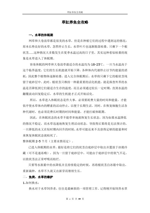 草缸养鱼全攻略(下)