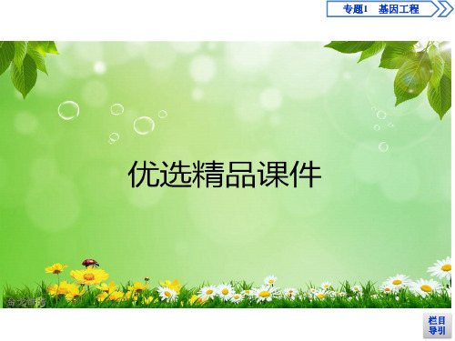 高中人教版选修3 1.1 DNA重组技术的基本工具 课件(61张)
